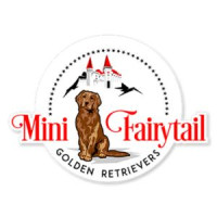 Mini Golden Paradise