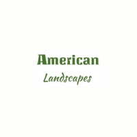 American Landscapes