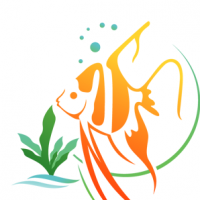 Modern Aquarium