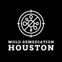 Mold Remediation Houston