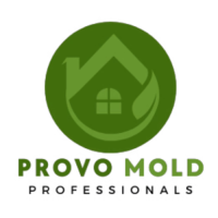 Mold Remediation Provo Solutions
