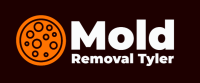 Mold Removal Tyler