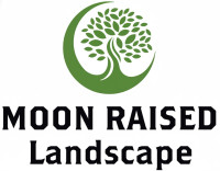 Moon Raised Landscape