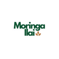 Moringa tea benefits