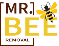 Mr. Bee Removal