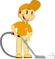 Carpet Care Cleaner