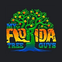 My Florida Tree Guys