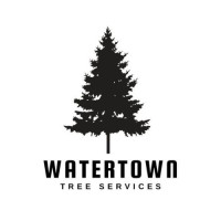 NewWorks Watertown Tree Services