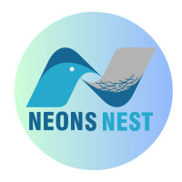 3D Frontlit Signs -Neons Nest