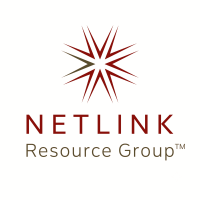 Netlink Resource Group – Api Integration Services
