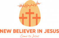 New Believer In Jesus