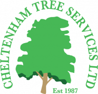 Cheltenham Trees