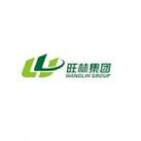 Hubei Wanglin New Material Technology Co., Ltd.