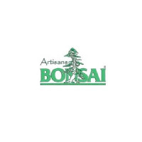 Florida’s Best Bonsai Plants Available at Artisan's Bonsai
