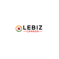 Business immigration consultant for Canada | Lebiz Canada