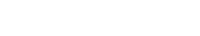 New York Mold Specialist