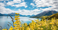 FROM JAPAN - FOR JAPANESE CITIZENS - NEW ZEALAND Immigration of New Zealand for Electronic Travel Authority and Visa for Tourist and Business - ニュージーランド政府公式ビザ - ニュージーランドビザオンライン - NZETA