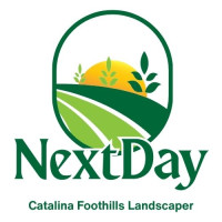 NextDay Catalina Foothills Landscaper