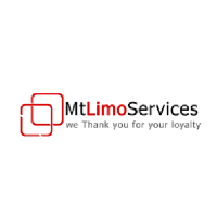 Mt Limousine Worldwide Inc