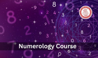 Professional Numerology Classes For Practical Learning