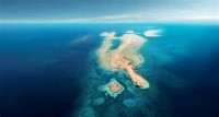 FOR DUTCH AND GERMAN CITIZENS - SAUDI Saudi Arabian Government Visa Center | Saudi Electronic Visa eVisa - Oerheid fan Saûdy-Araabje Visa Online