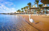 FOR SPANISH CITIZENS - Egyption Government Visa and Immmigration Office | Egypt Electronic Visa Application Online - Oficina de Inmigración del Gobierno de Egipto Visa, Permiso de Entrada Electrónico para Turistas y Negocios