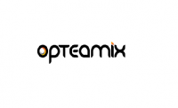 IT Software Solution for Business | Opteamix