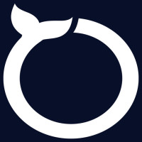 Mobile app development company Austin - Software Orca