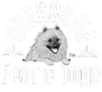 Overcome Fear of Dogs