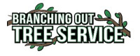 Ozone Park Bayside Pruning & Removal