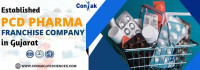Pharma Franchise Company In Gujarat