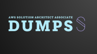 AWS Solution Architect Associate Dumps Questions: Your Path to Certification