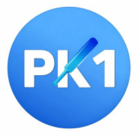 PK1 Pakistan Ultimate Online Gaming and Rewards Platform