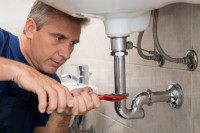 Oasis Plumbers Tarzana