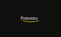 PUNTOMIRA (TARIFF LIMITED)