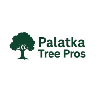Palatka Tree Pros