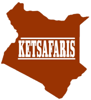 Ketsafaris
