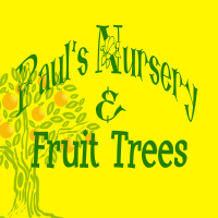 Paul's Nursery and Fruit Trees