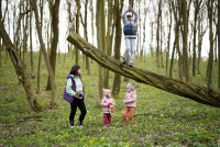 Garden Montessori Schools