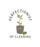 Perfectionist of Cleaning