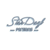StarDazl Persian