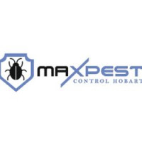 Spider Pest Control Hobart