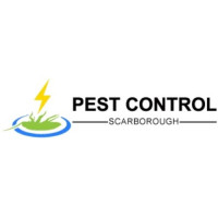Pest Control Scarborough