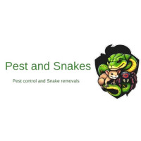 Possum Removal Melbourne