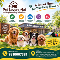 Pet Lovers Hut - Dog Boarding School