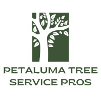 Petaluma Tree Service Pros