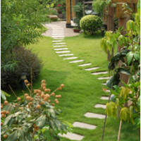 Peter Valenti Landscaping