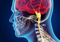 Neuropsychiatry Pharma Franchise