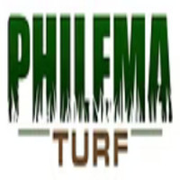 Philema Turf
