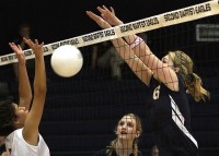 Volleyball Empire LLC